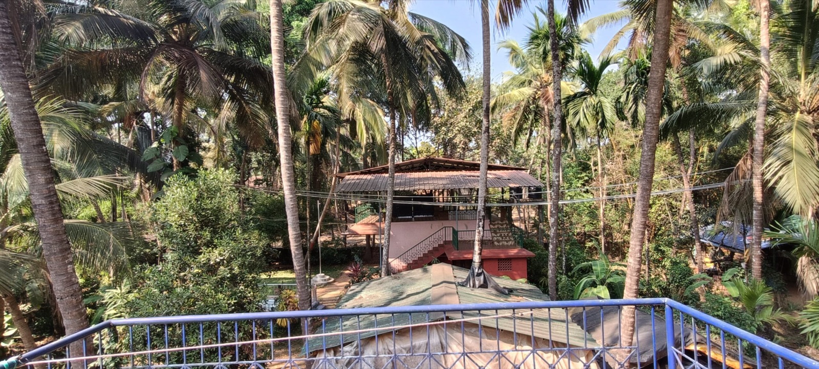 The ashram roofs among the coconut palms