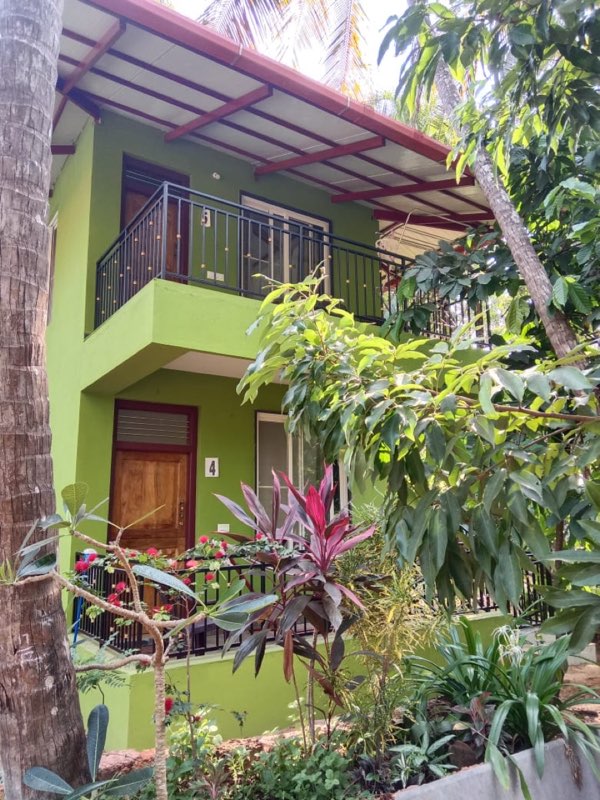 The Green House rooms among the coconut palms