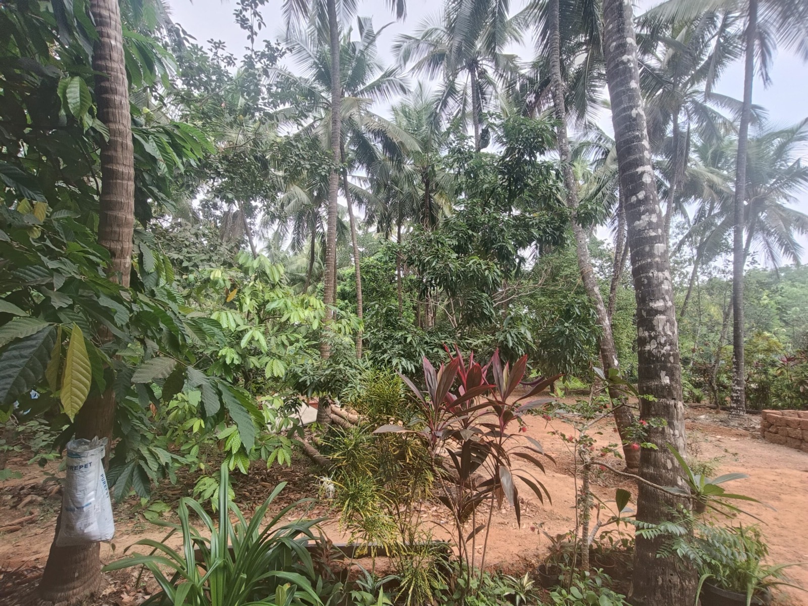 A view across the organic farm