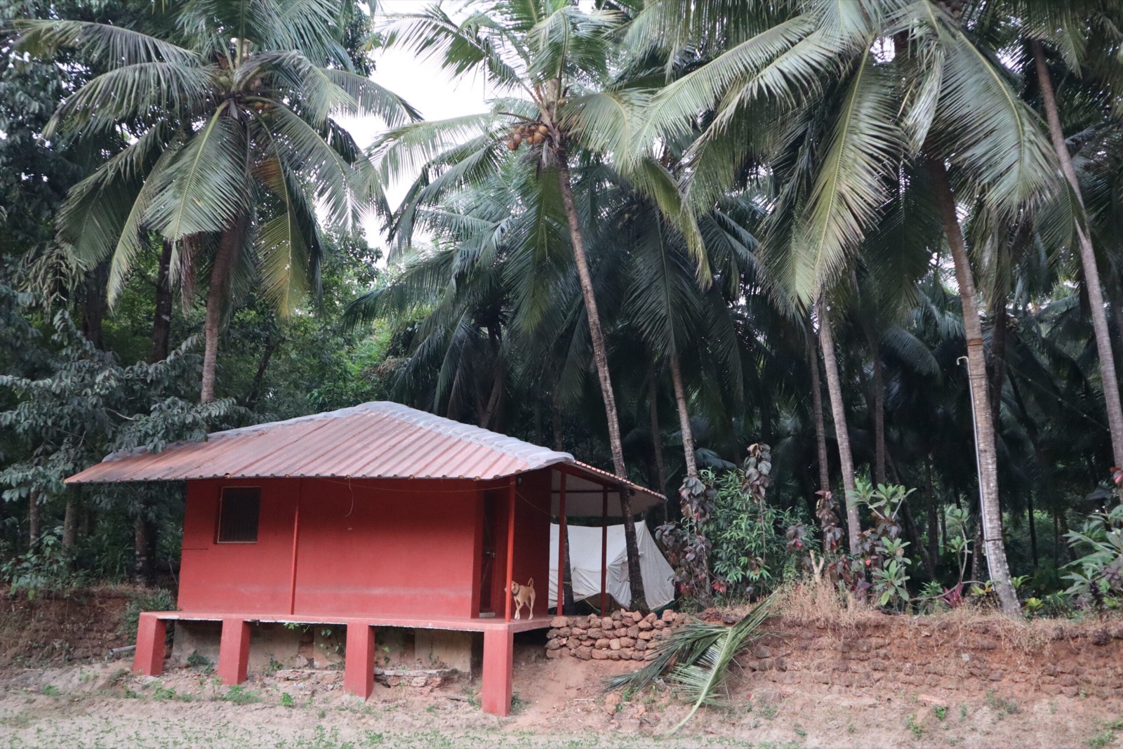 The Kutir, beside the farm