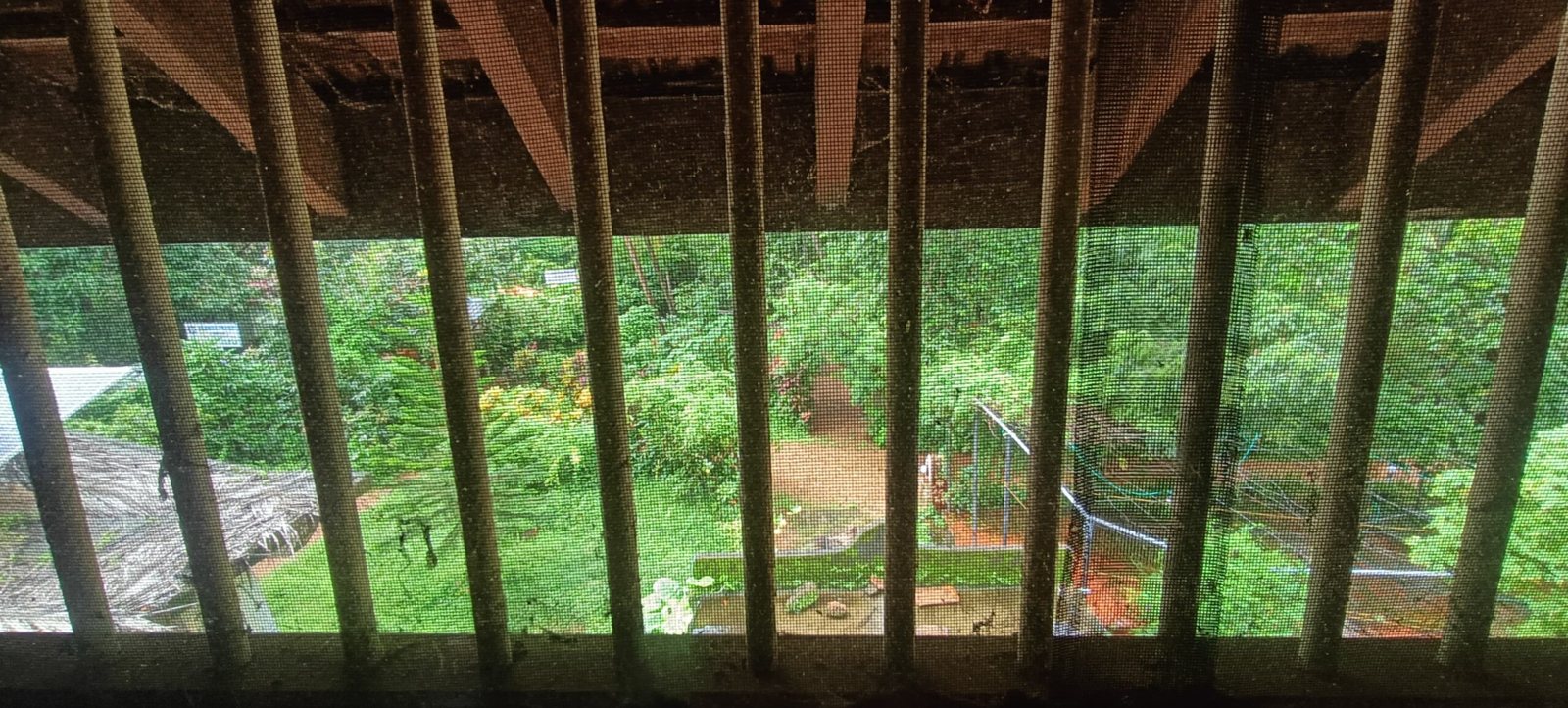 Manasa, photo 8 of 9