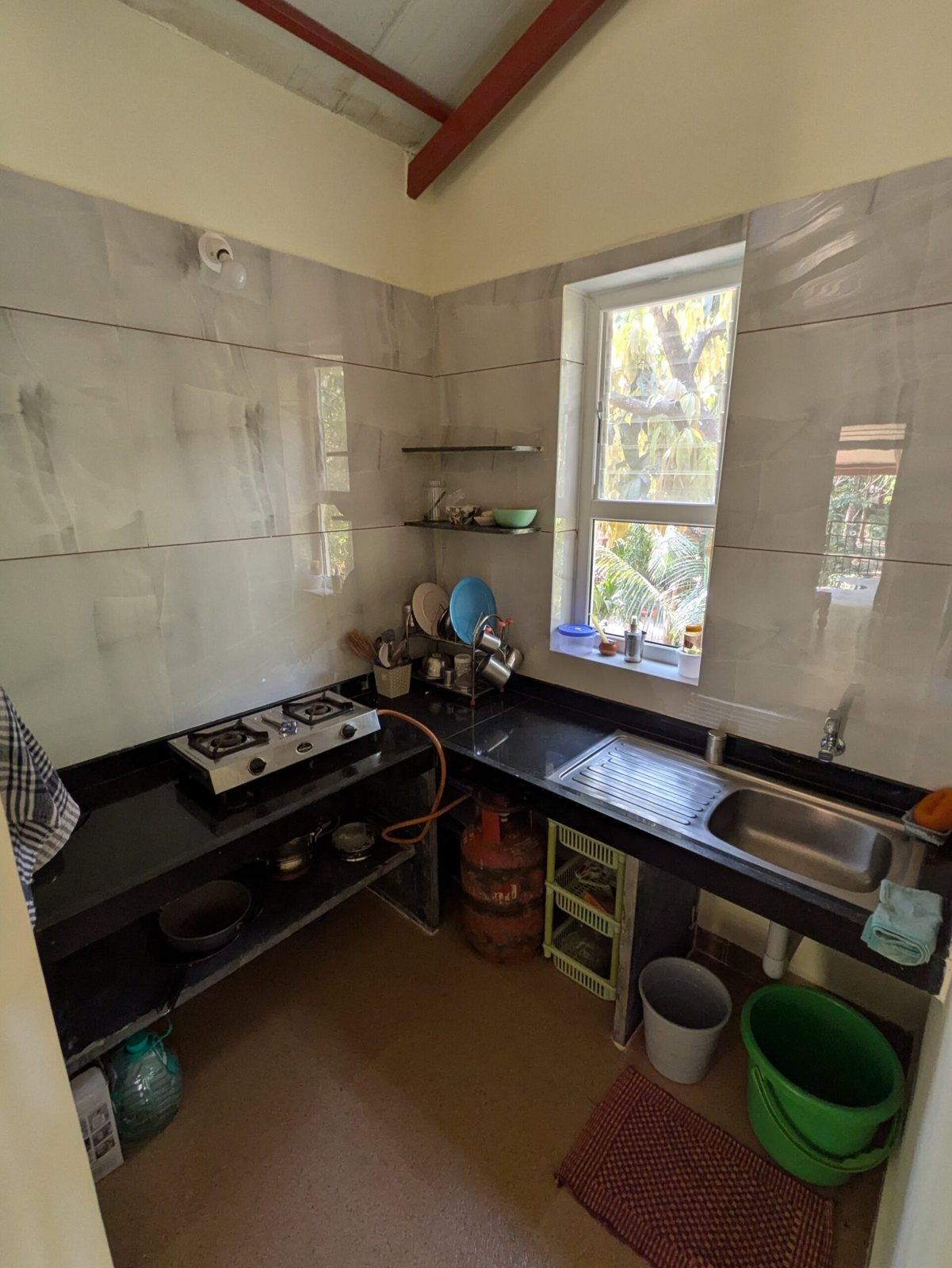 Green House, photo 12 of 21