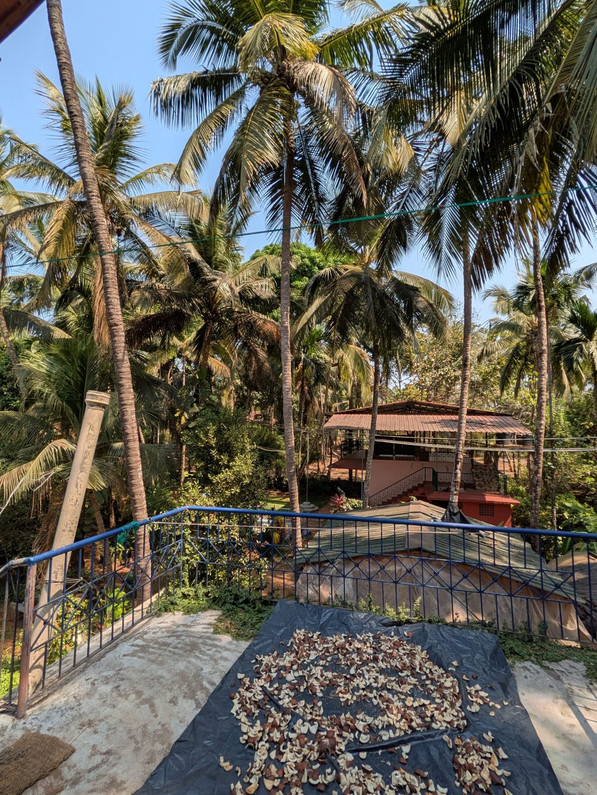 Ganesh Prasad, photo 10 of 11