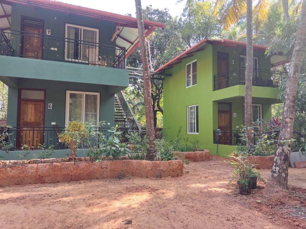 Green House, photo 1 of 21