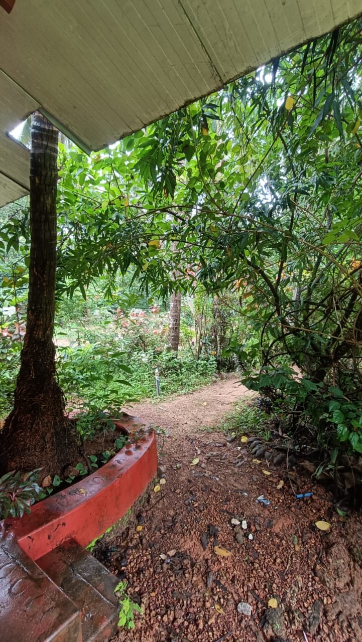 Kutir, photo 11 of 12