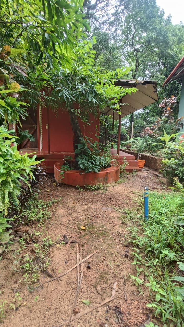 Kutir, photo 10 of 12