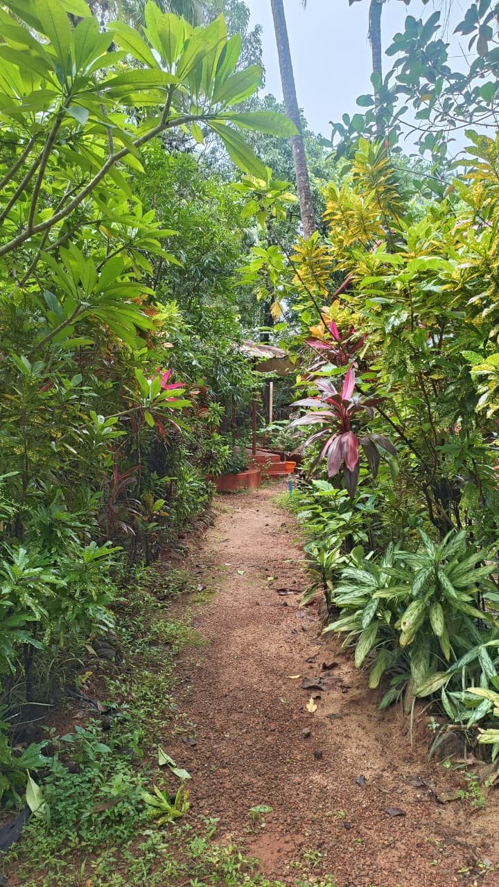 Kutir, photo 3 of 12
